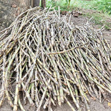 Organic SugarCane Jaggery