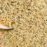 Pusa Basmati 1121 Paddy Seeds