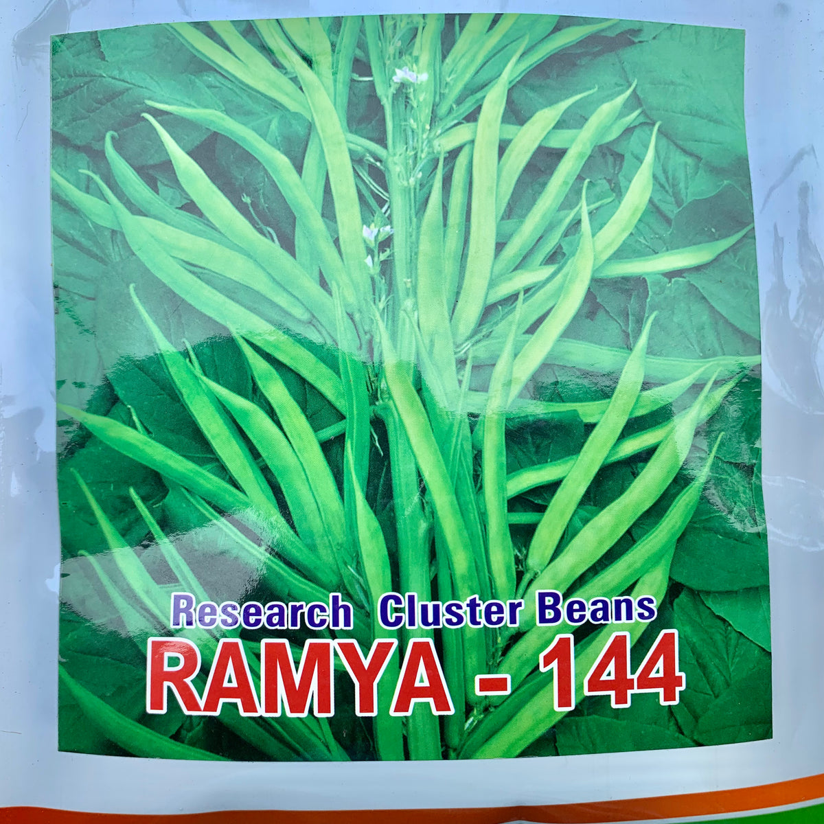 Cluster Beans Vegetable Seeds Vintage Farmers cluster-beans-vegetable-seeds-vintage-farmers