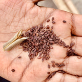 Natural Sesame Seeds For Oil Extraction
