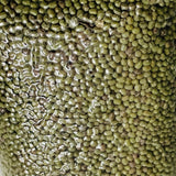 1Kg Green Gram Crop Seeds from Mana Velugu Vintage Farmers