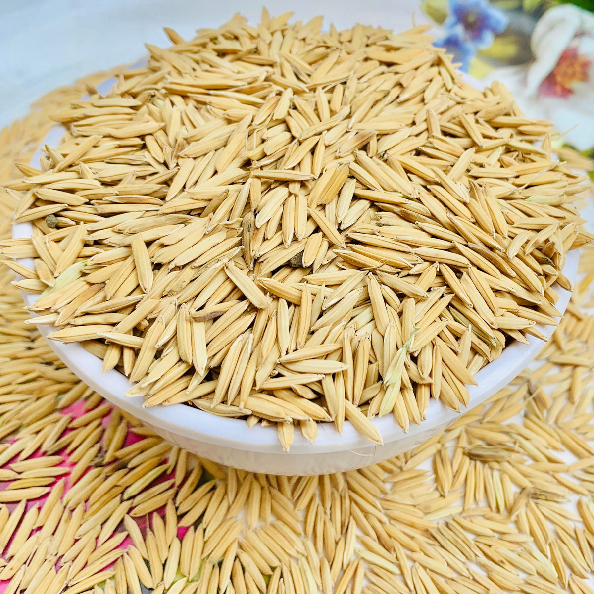 Pusa Basmati 1718 Paddy Seeds Vintage Farmers