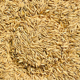 Pusa Basmati 1121 Paddy Seeds