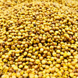 Green Sorghum Grains-Jowar-Pacha Jonnalu-1 Kg Pack