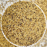 Natural Pearl Millet Seeds-Bajra Seeds-Gantelu