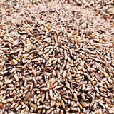 Black Rice For Dosa Batter-Organic