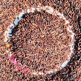 Organic Basmati Burma Black Rice