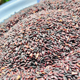 Black Rice-Organically Cultivated