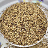Natural Pearl Millet Seeds-Bajra Seeds-Gantelu