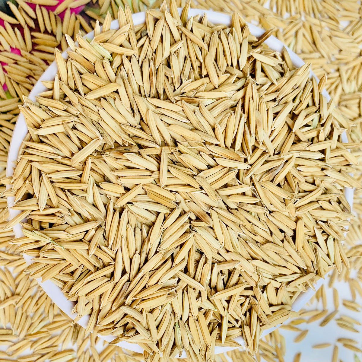 Pusa Basmati 1692 Paddy Seeds Vintage Farmers