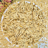 Pusa Basmati 1692 Paddy Seeds