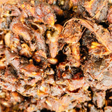 Red Chilli Pickle-Pandu Mirapa Pachadi