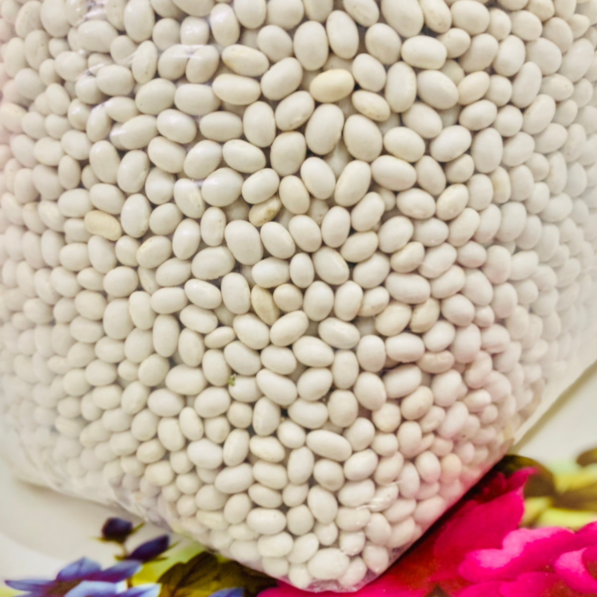 Premium SoybeansEdible SoyaBeans Vintage Farmers