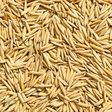Pusa Basmati 1692 Paddy Seeds