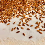 Tiny Pearl Paddy Seeds-Chitti Muthyalu-1 Kg Pack