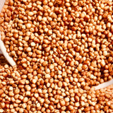 Red Sorghum Seeds-Lal Jowar-Yerra Jonnalu