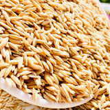 WGL-1246 Paddy Seeds