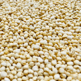 Sorghum Seeds-Jowar-Jonnalu-1 Kg Pack