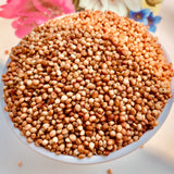 Red Sorghum Seeds For Cultivation-Lal Jowar-Yerra Jonnalu