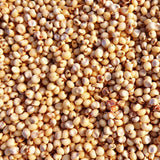 White Sorghum Seeds For Cultivation-Jowar-Jonnalu