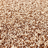 Sesame Seeds-Edible
