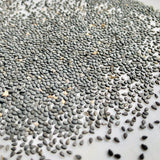 Sesame Seeds-Edible