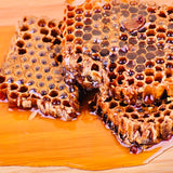 Unprocessed Raw Wild Honey
