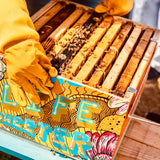 Cultured Honey-1 Kg Packs