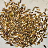 Manipuri Black Paddy Seeds-Chakhao Black Paddy