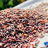 Organic Basmati Burma Black Rice