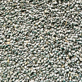 Natural Sesame Seeds For Oil Extraction
