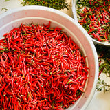 Guntur Whole Red Mirchi-Natural Raw Chilli