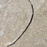 Natural Black Wheat Grains-1 Kg Packs