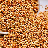 Red Sorghum Seeds-Lal Jowar-Yerra Jonnalu