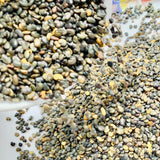 Sunn Hemp Seeds-Janumu Vithanalu