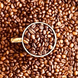 Araku Coffee Whole Beans-Roasted