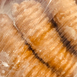 Andhra Godhuma Gottalu-Sweet Coated Wheat Crispy Rolls