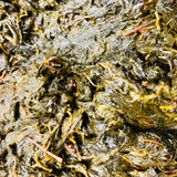 Gongura Red Chilli Pickle