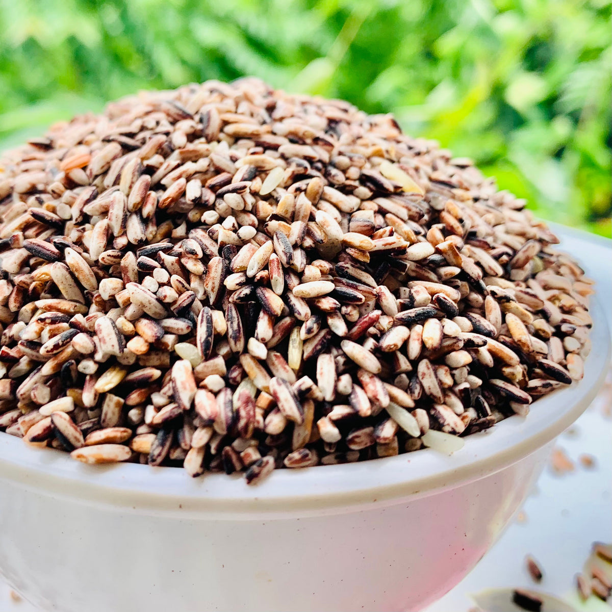 Black Rice For Dosa Batter-Organic – Vintage Farmers