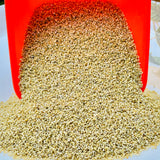 Browntop Millets Upma Ravva-AnduKorra Upma Ravva-1 Kg