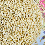 White Sorghum Seeds For Cultivation-Jowar-Jonnalu