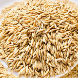 WGL-1119 Paddy Seeds