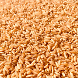 Brown Rice-From 1 Year Old Paddy