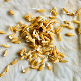 BPT 5204-Samba-Sona-Brown Paddy Seeds
