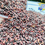 Black Rice-Organically Cultivated