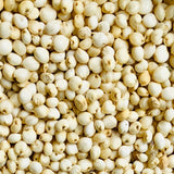 White Sorghum Seeds For Cultivation-Jowar-Jonnalu