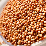Red Sorghum Seeds For Cultivation-Lal Jowar-Yerra Jonnalu