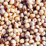 White Sorghum Seeds For Cultivation-Jowar-Jonnalu