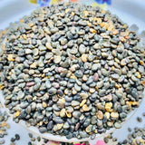 Sunn Hemp Seeds-Janumu Vithanalu