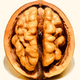 Walnut Kernels-Kashmiri Premium White Variety